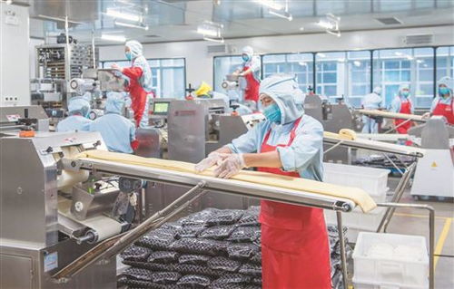 數(shù)字化激發(fā)廣西消費(fèi)品工業(yè)新活力